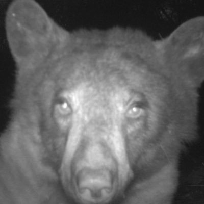 ssithdaddy's profile picture. ((she/her))