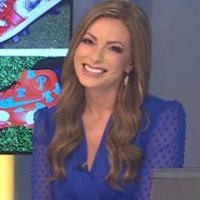 Amy Lutz (@amyfox43) 's Twitter Profile