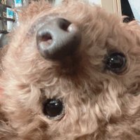 nacha (@nacha_n8jsxfs22) Twitter profile photo