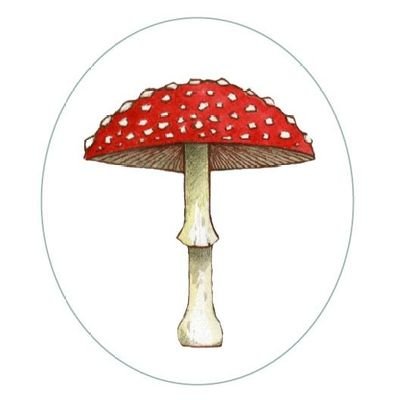 r/shroomstocks,
Remoaner.
Psychedelics, mycelium, plant based, retail investor.
Soil food web.
Regenerative agri.
Circular economies.
HALO.