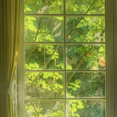 Triumnhem's profile picture. 