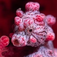 Carole Guéchi (@caroguechi) 's Twitter Profile Photo