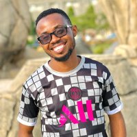 David Effiong #DatafestAfrica2024 (@david_uforo) 's Twitter Profile