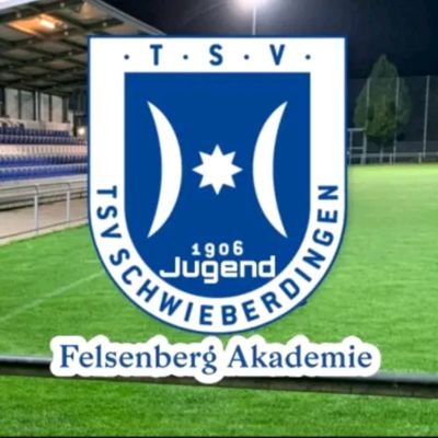 Offizieller Twitter-Account der TSV Schwieberdingen U19-Jugend 

Landesstaffel Nord 2022/23