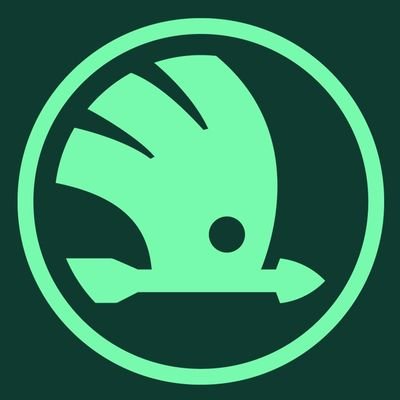 SkodaEvm's profile picture. 