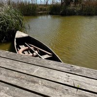 Marta Jerez (@jerezmarta2) 's Twitter Profile