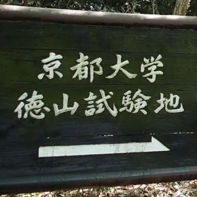 Fserc_tokuyama's profile picture. 京都大学
フィールド科学教育研究センター 徳山試験地 です。