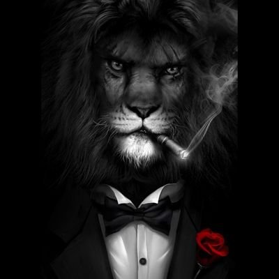 Pendoel79505379's profile picture. @tonnel_network