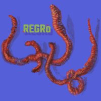 regrò(@projectregro) 's Twitter Profile Photo
