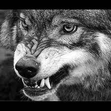 BBBU8888's profile picture. love live