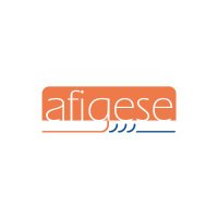 AFIGESE (@afigese) 's Twitter Profile