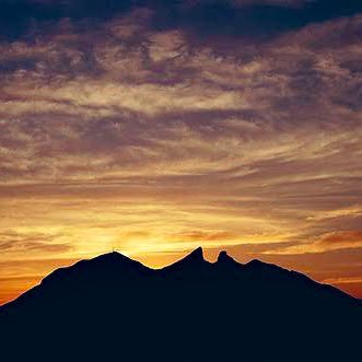 Perros vengo de la ciudad de los cerros⛰️                         Análisis y picks deportivos.