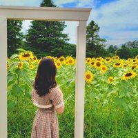 むらかみ (@htl_murakami) Twitter profile photo