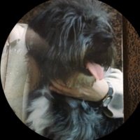 bufylan (@bufylan) 's Twitter Profile