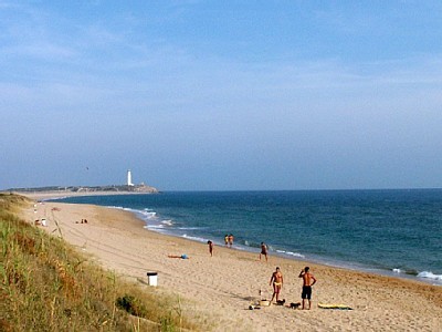 canosdemeca's profile picture. Los #CañosdeMeca, pedanía de #Barbate, a 5 min de #Conil, #Vejer, y el #ElPalmar, provincia de #Cádiz #Spain - Envianos tus fotos! canosdemeca@outlook.com