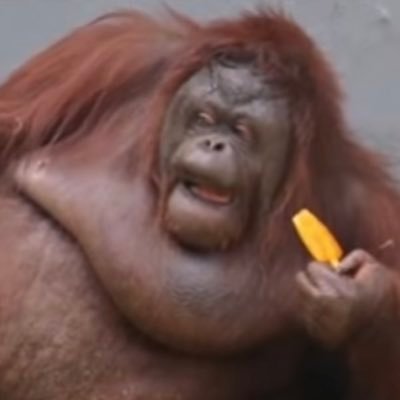 Him reincarnated, bowser big blast champion