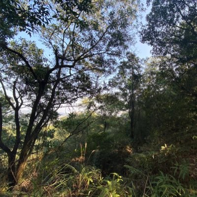 zcosng's profile picture. zxzf