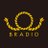 BRADIO_official