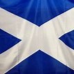 Now a fully retired care worker, Love photography, animals,
Warning, extremist, seamist, irishmist, scotmist, boat missed