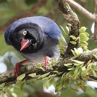 TravisChien's profile picture. an old man likes the sea