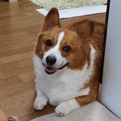 ナクモさんのプロフィール画像