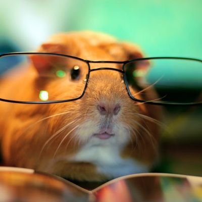 AlexInk966's profile picture. 