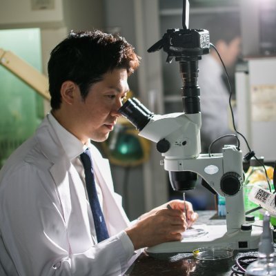 miw1101's profile picture. Osaka Metropolitan University, Otolaryngology
Kyoto university, Otolaryngology