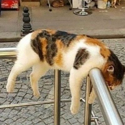 https://t.co/I1ypukpMipの片隅でどこまで生きられるのだろう。
