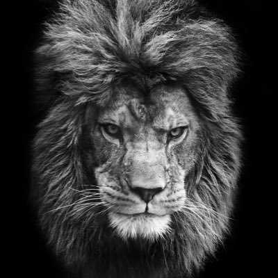 JDMoneyMustang's profile picture. Sports cars and stock market Torch OG $MMAT Whale #FJB #AmericaFirst