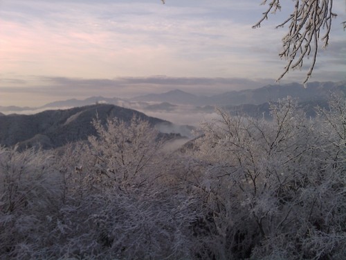 Proftany's profile picture. 古道とか、城址とか、山道とか、ひたすら歩くのが趣味