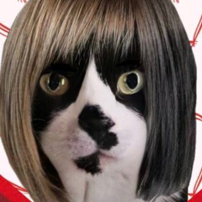 お 菊 おやすみ中です🙇‍♀️ ̖́-.....さんのプロフィール画像