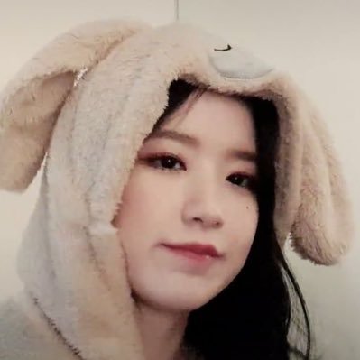 Any Pronouns • Multi-stan • when active, i rt a lot