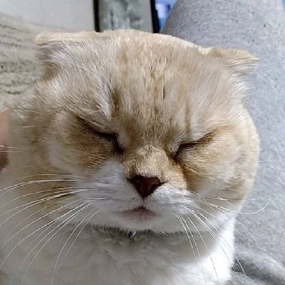 uchikiri777さんのプロフィール画像