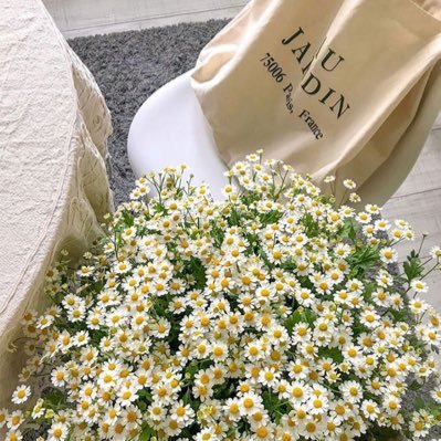 perfectwifeeeee's profile picture. 