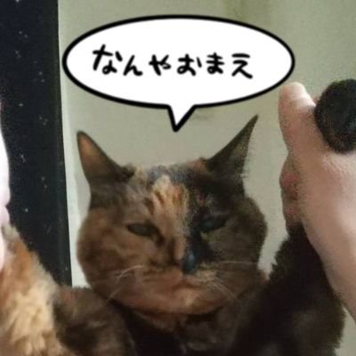 (21)623(21)さんのプロフィール画像