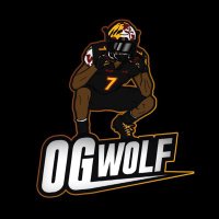 OG Wolf(@OG_Wolf_) 's Twitter Profile Photo
