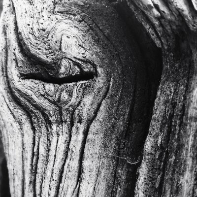 actuing's profile picture. Necesitamos dosis de natura