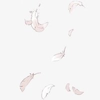 九羽 (@kot_jiuyu) 's Twitter Profile Photo 九羽 (@kot_jiuyu) 's Twitter Profile Photo