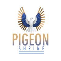 Pigeon Shrine(@thepigeonshrine) 's Twitter Profileg