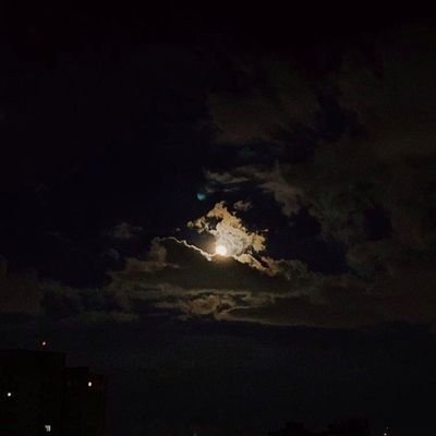 Rendosさんのプロフィール画像