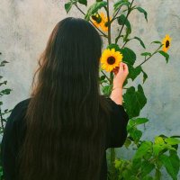 𝗡𝗜𝗞𝗔 (@mnoomooo) 's Twitter Profile