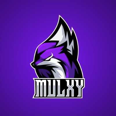 Mulxyng's profile picture. Equipe brasileira de E-sports 2023 🔮#GoMulxy | 📥 contato: mulxy.org@gmail.com