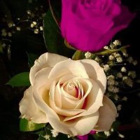 جوجو جوجو (@jwjwjwj10774398) 's Twitter Profile