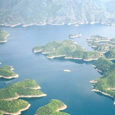 hao1912's profile picture. 区块链信仰者，BTC和ETH让人自由。