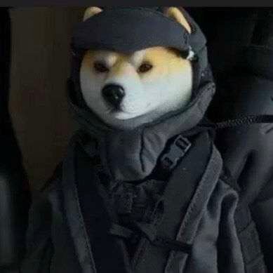 Lu225432's profile picture. 