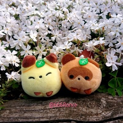 666Ronce's profile picture. 関東開催の御狐様や妖怪達の和風ｲﾍﾞﾝﾄ、企画展等に遊びに行く事を活力としています 基本見る専 返信速度激遅 ﾁｮｺとｱｲｽにﾎｲﾎｲされる者。ツイステ沼。