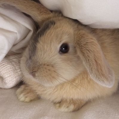 emily (accounts moved)さんのプロフィール画像