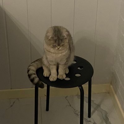 sacredhwh's profile picture. 0 ratios failed ☪️ | TYBG | DM for commission work