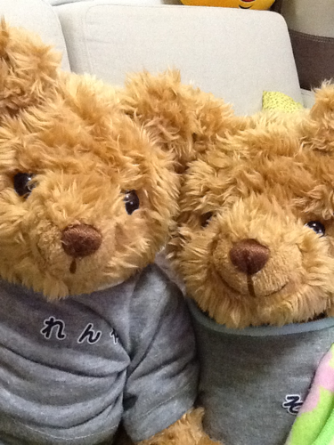 endo2aendo's profile picture. 子育て奮闘中の会社員！息子達とトミカ、プラレールで遊ぶのが趣味。ラーメン好き、ドライブ好き、呑み好き！