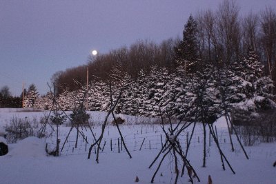 biodynamic argriculture